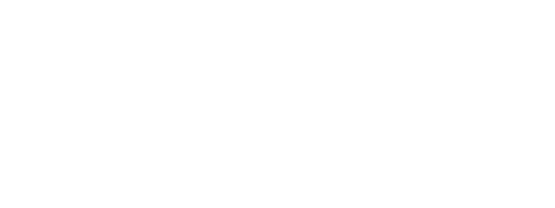 글로벌하이세스 로고
